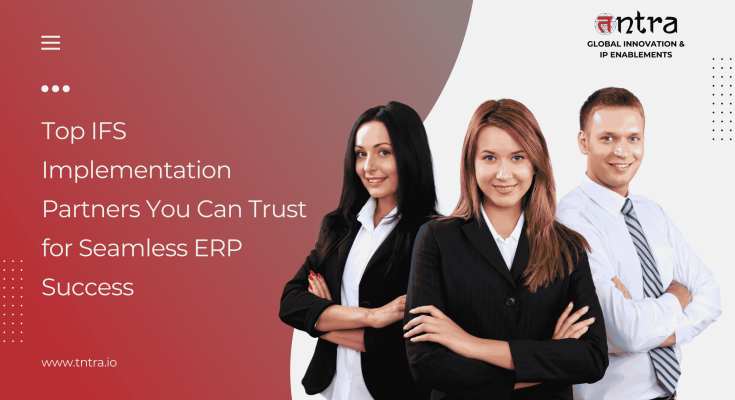 IFS Implementation Partners